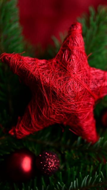 Red Star, Christmas decoration, Advent, Holidays, Christmas Season, Selective Focus, 5K, Navidad, Noel
