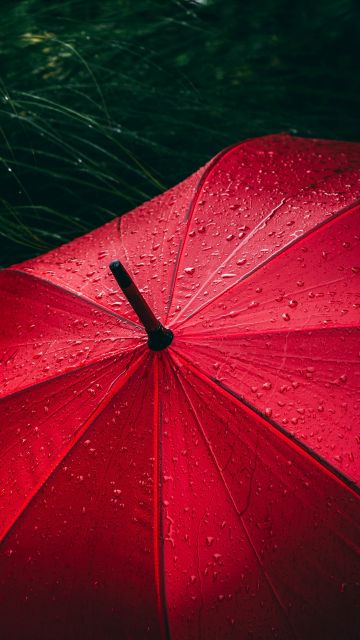 Umbrella, Red, Rain droplets, Rainy day, 5K