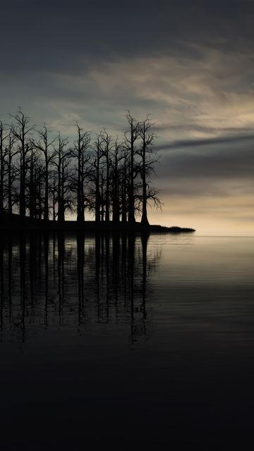Sunset, Dry trees, Silhouette, Dusk, Lake