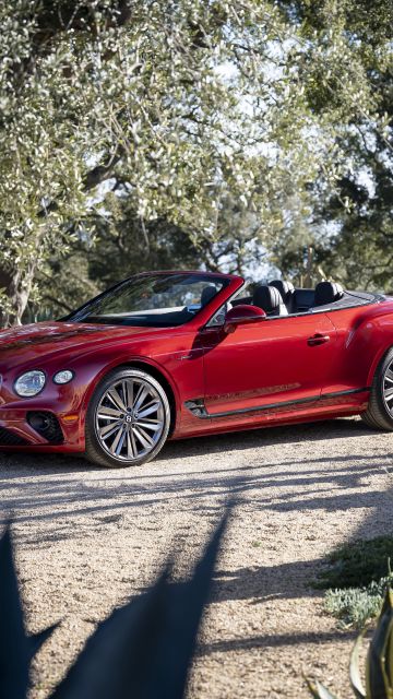 Bentley Continental GT Speed, 8K, Convertible, Luxury cars, 2022, 5K