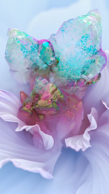 White flower, Floral Background, Colorful, 3D background, Digital Art
