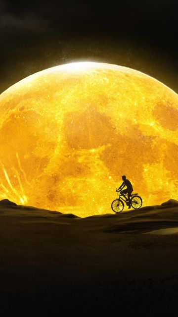 Bicycle, Dream, Moon, Night, Silhouette, Yellow, Surreal, Desert