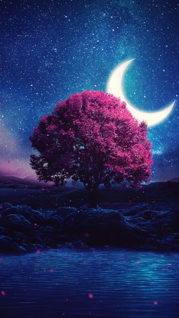 Aesthetic, Lone tree, Crescent Moon, Half moon, Starry sky, Night, Lake, Girly backgrounds, Night sky