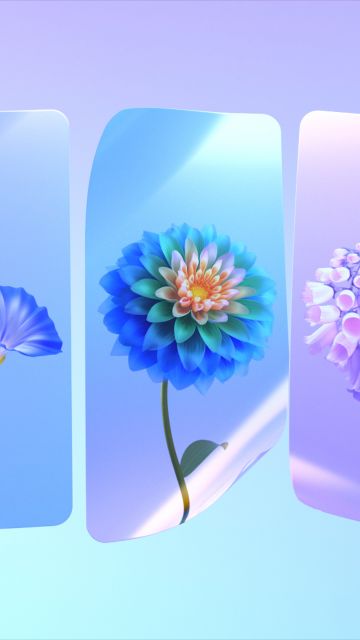 Spring flowers, Colorful flowers, Gradient background, Seasons