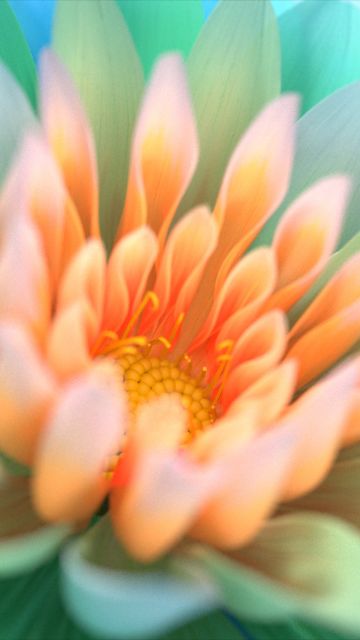 Colorful flowers, Closeup, Macro, Bloom, Digital Art