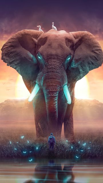 Elephant, Dream, Mysterious, Surreal, Landscape, Digital Art, Photo Manipulation, 5K, Aesthetic