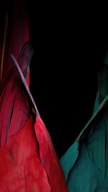 Scarlet macaw, Parrot feathers, Bird feathers, Black background, Colorful, AMOLED