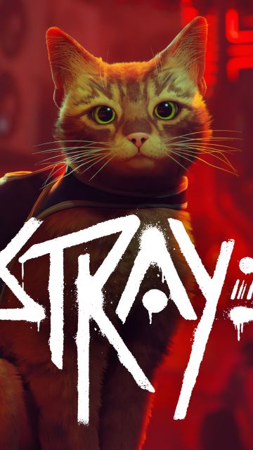 Stray, PC Games, PlayStation 4, PlayStation 5, 2022 Games, Stray cat