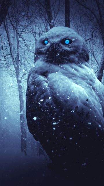 Owl, Forest, Winter, Dark, Night, Blue eyes, Scary, Snowfall, 5K