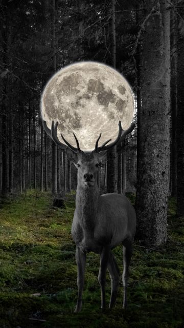 Deer, Moon, Surreal, Forest, Monochrome, 5K, 8K, Black and White