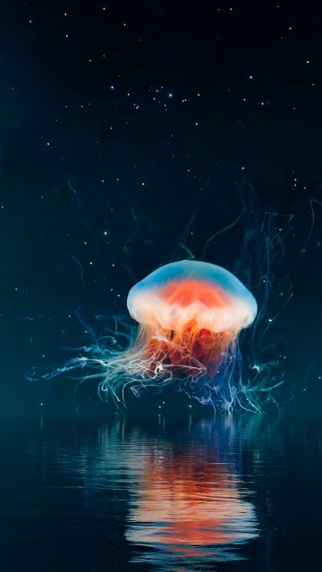 Jellyfish, Tentacles, Surreal, Reflection, Night, 5K, 8K, Aesthetic