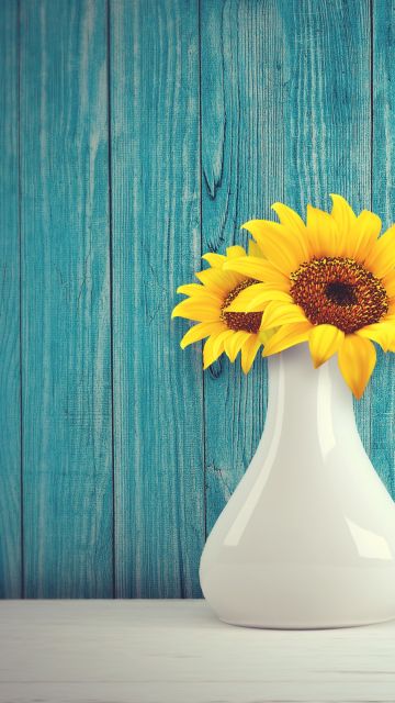 Sunflowers, Flower vase, Wooden background, Teal