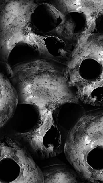 Skulls, Scary, Monochrome, 5K, Black and White